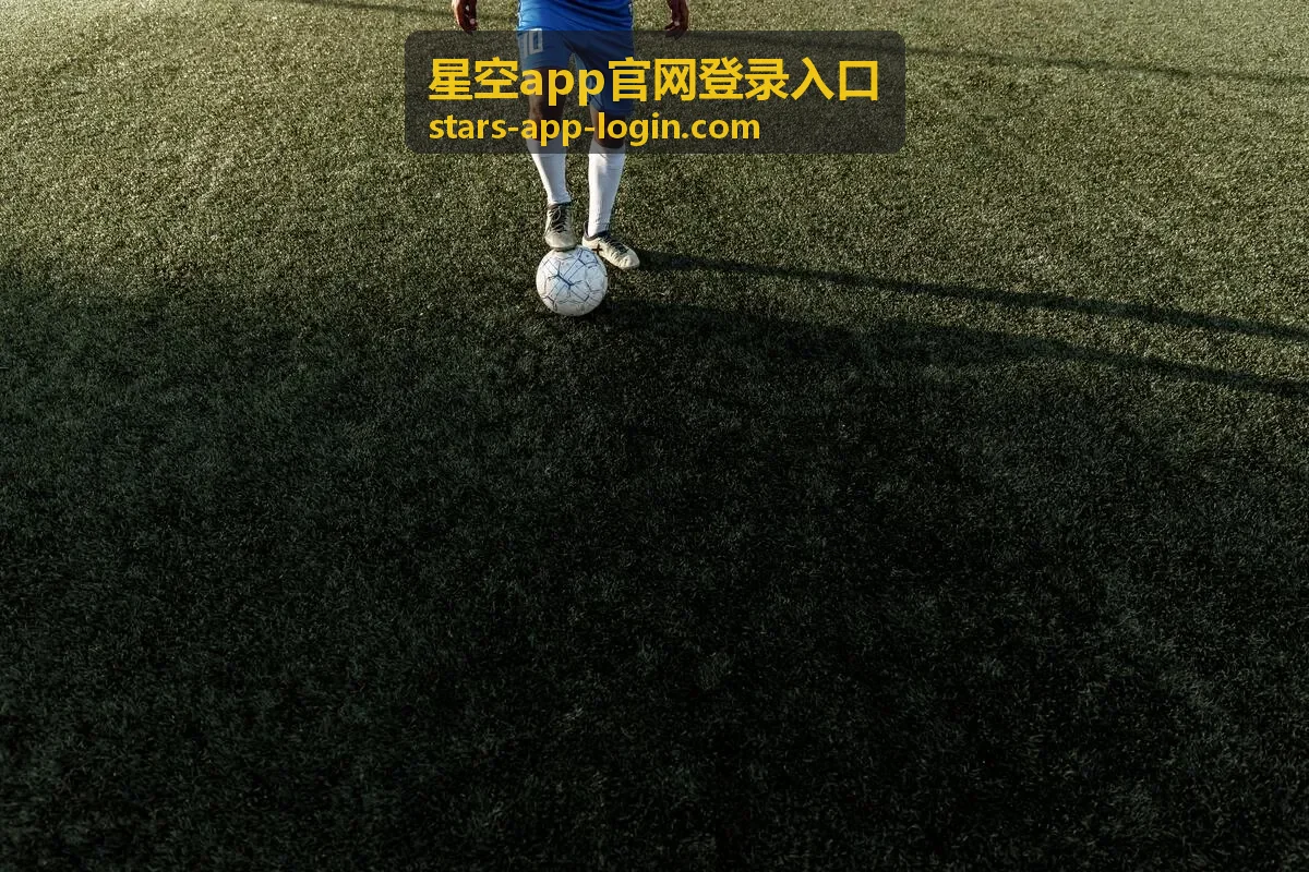 星空 App 金融行业登录